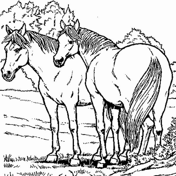 värityskuvat-hevonen-varityskuvat