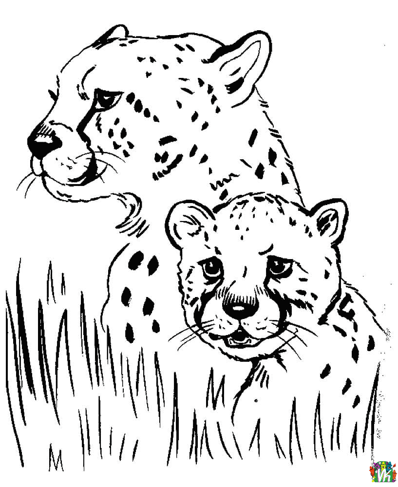 Gepardi-varityskuvat (13)