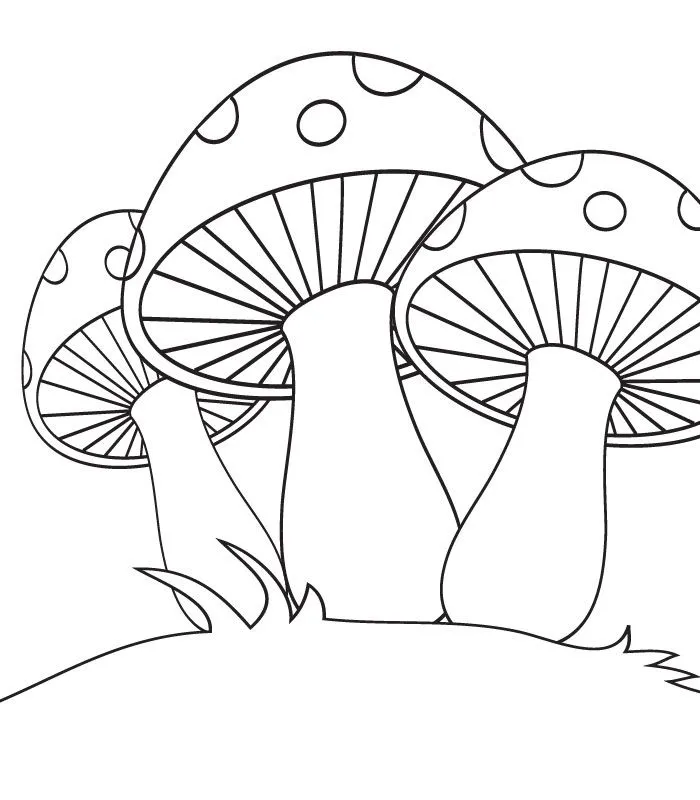 sieni-varityskuvat (1)