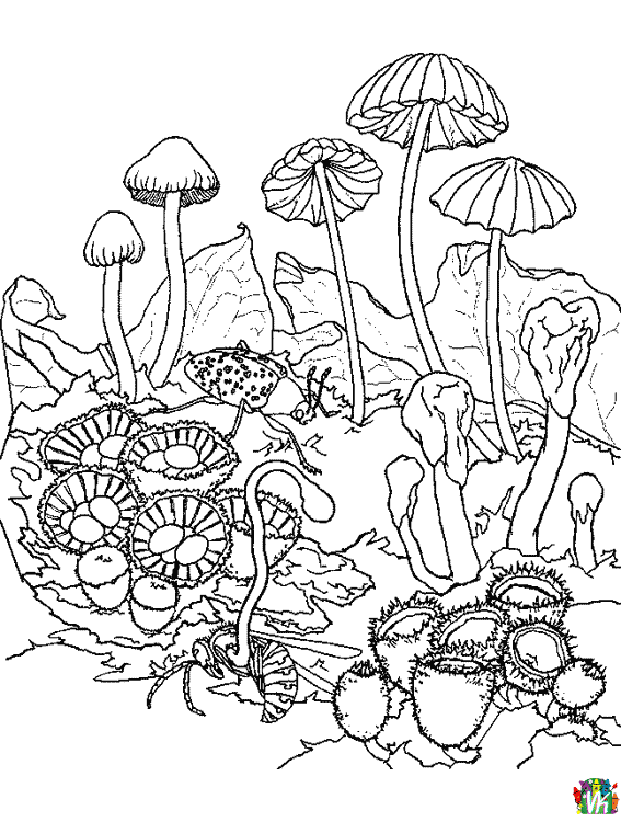 sieni-varityskuvat (11)